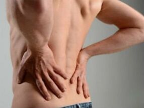 តើអ្វីទៅជា osteochondrosis